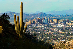 Arizona Brokers image 0